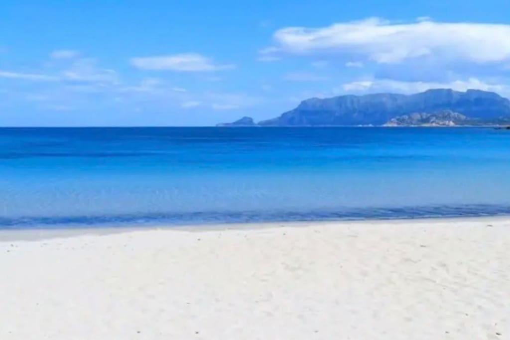 Dimoras Bellissimo Appartamento Centrocitta Olbia Luaran gambar